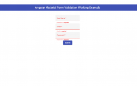 Angular Material Form Validation Working Example Code