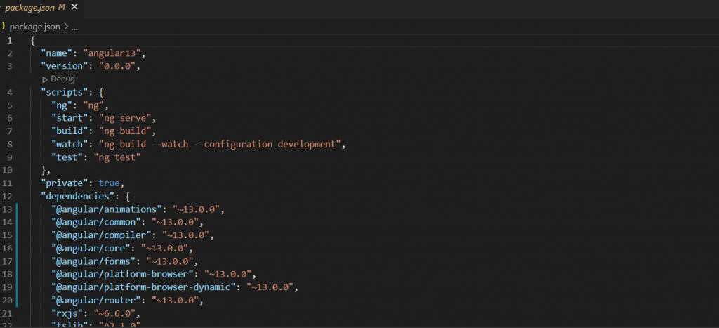 Angular 13 Package.json file