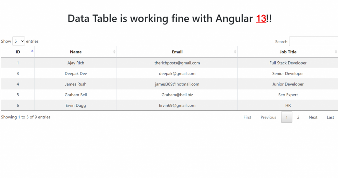 Angular 13 Datatable with Dynamic Data Working Example