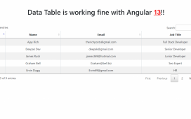 Angular 13 Datatable with Dynamic Data Working Example