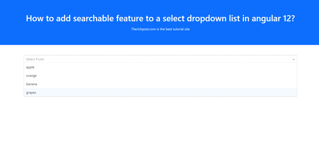 How to add searchable feature to a select dropdown list in angular 12?