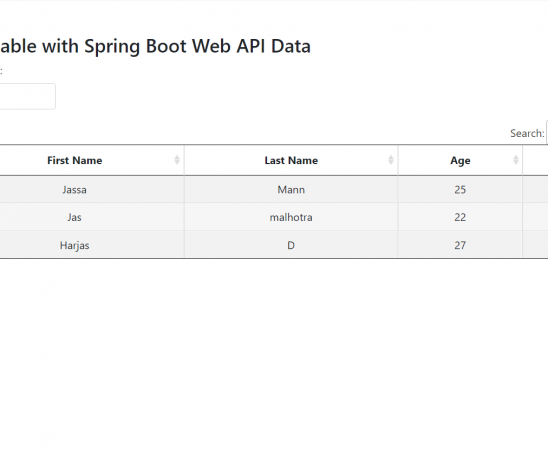 Angular 13 Datatable with Spring Boot Web API Data