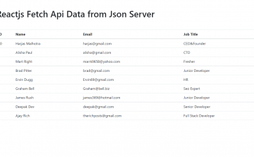 Reactjs Fetch Api Data from Json Server