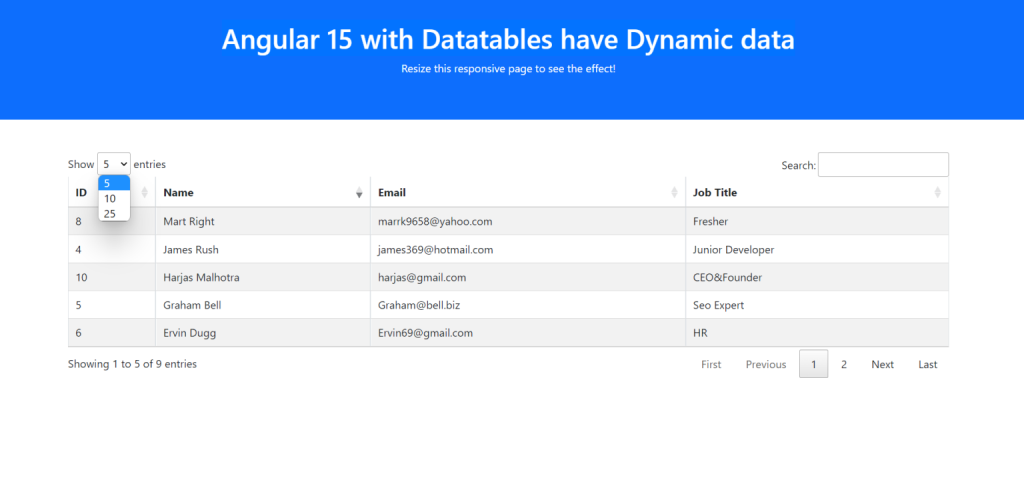 Angular 15 Datatable with Java Spring Boot Web API Data