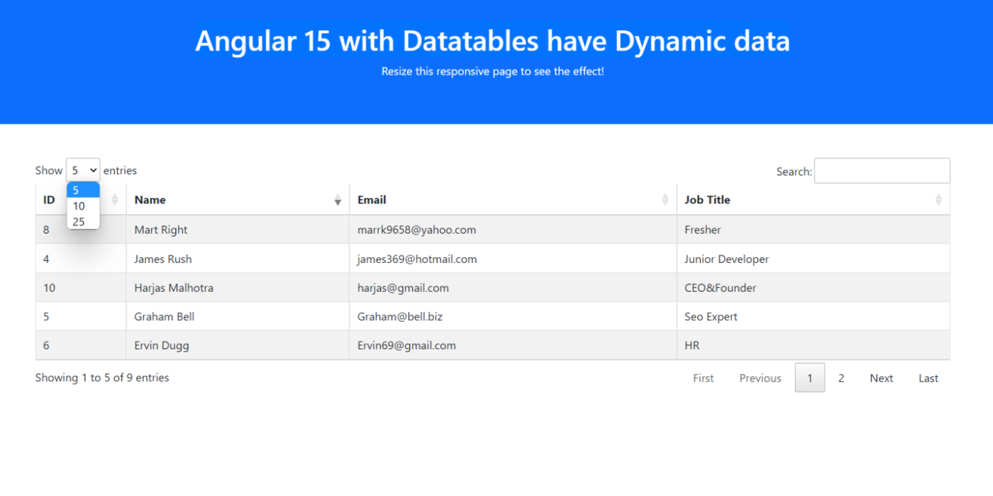Angular 15 Datatable with Java Spring Boot Web API Data