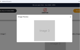 Angular 19 Bootstrap 5 Gallery Page with Dynamic Images Modal Popup