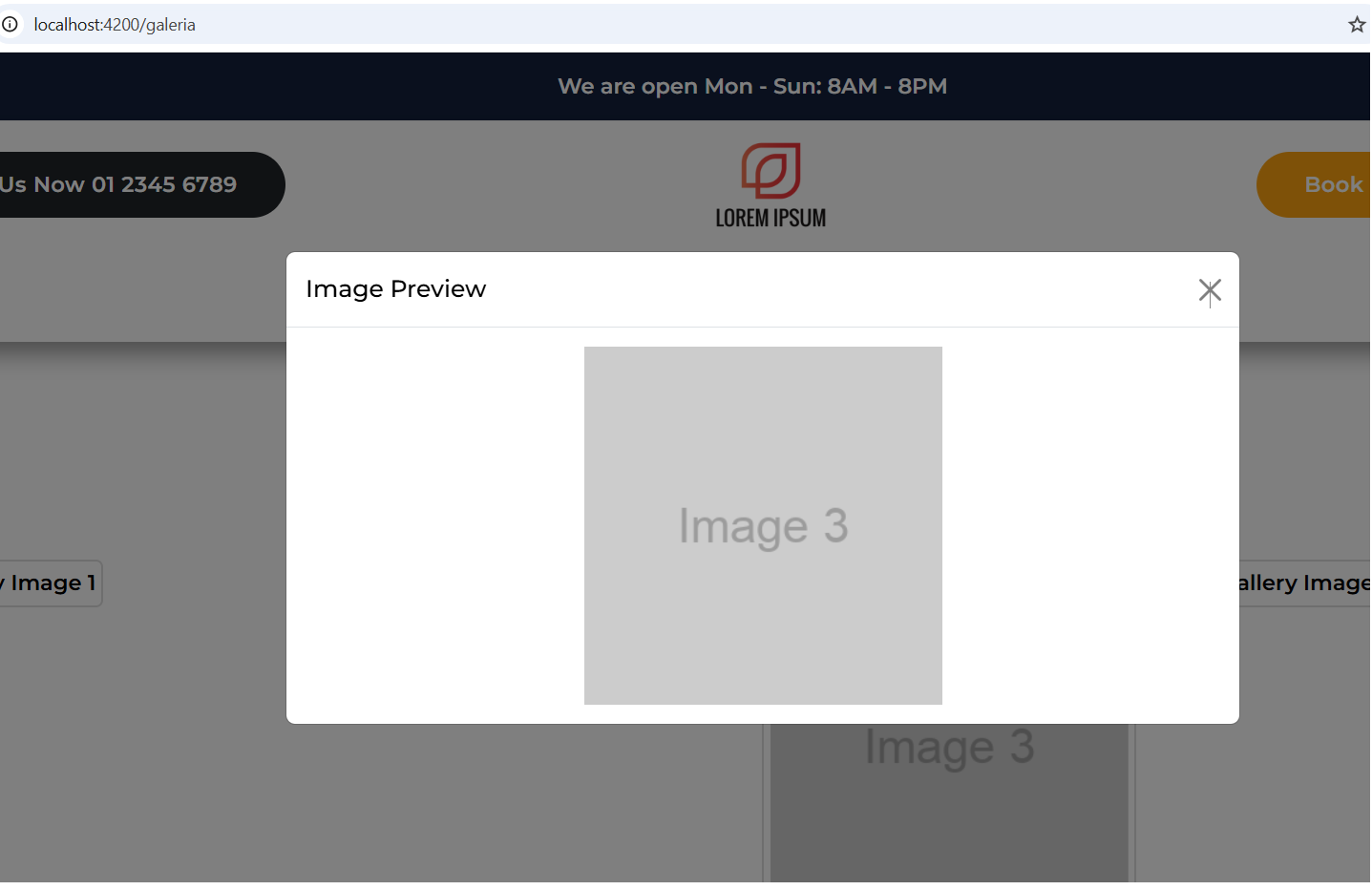 Angular 19 Bootstrap 5 Gallery Page with Dynamic Images Modal Popup