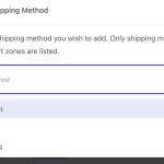 How to Remove ‘Local Pickup’ and ‘Free Shipping’ from Dokan Vendor Shipping Options?